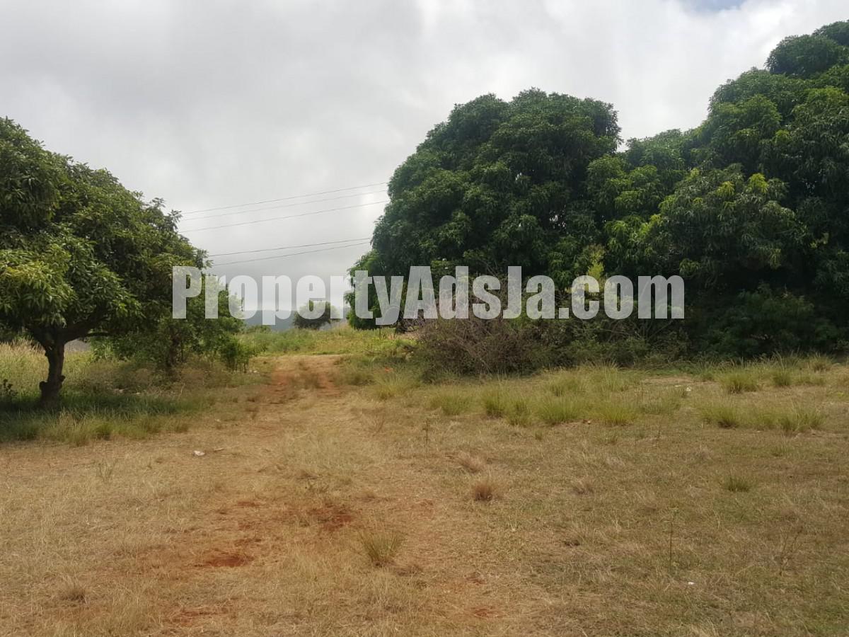Residential lot For Sale in St Elizabeth, St. Elizabeth Jamaica