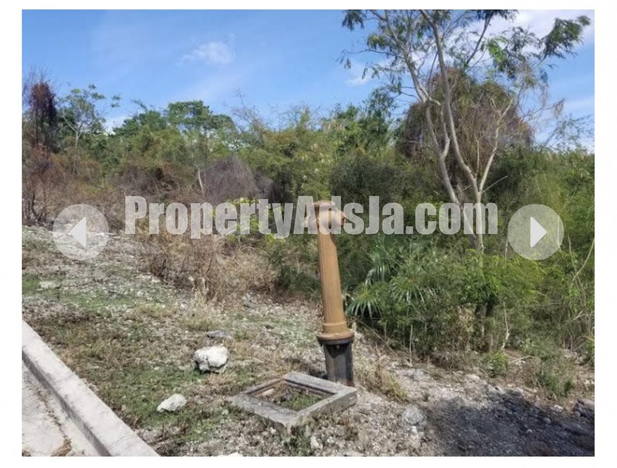Land For Sale in Whitehouse, Westmoreland Jamaica