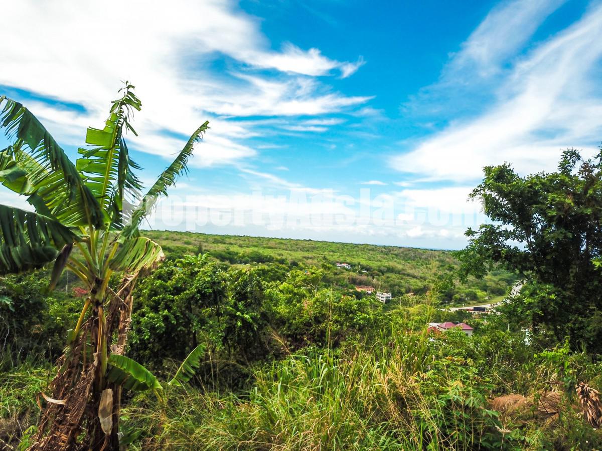 Residential lot For Sale in Duncans Hill, Trelawny Jamaica