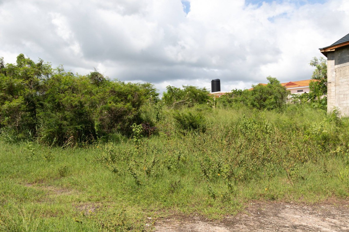 Residential lot For Sale in Twin Palms Estate, Clarendon Jamaica