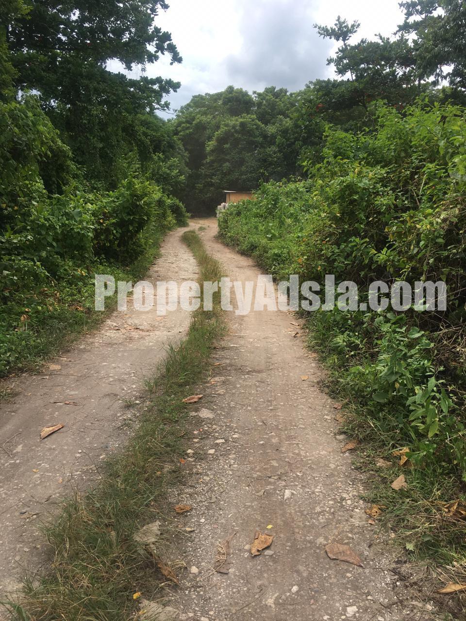 Residential lot For Sale in ST MARGARETS BAY, Portland Jamaica