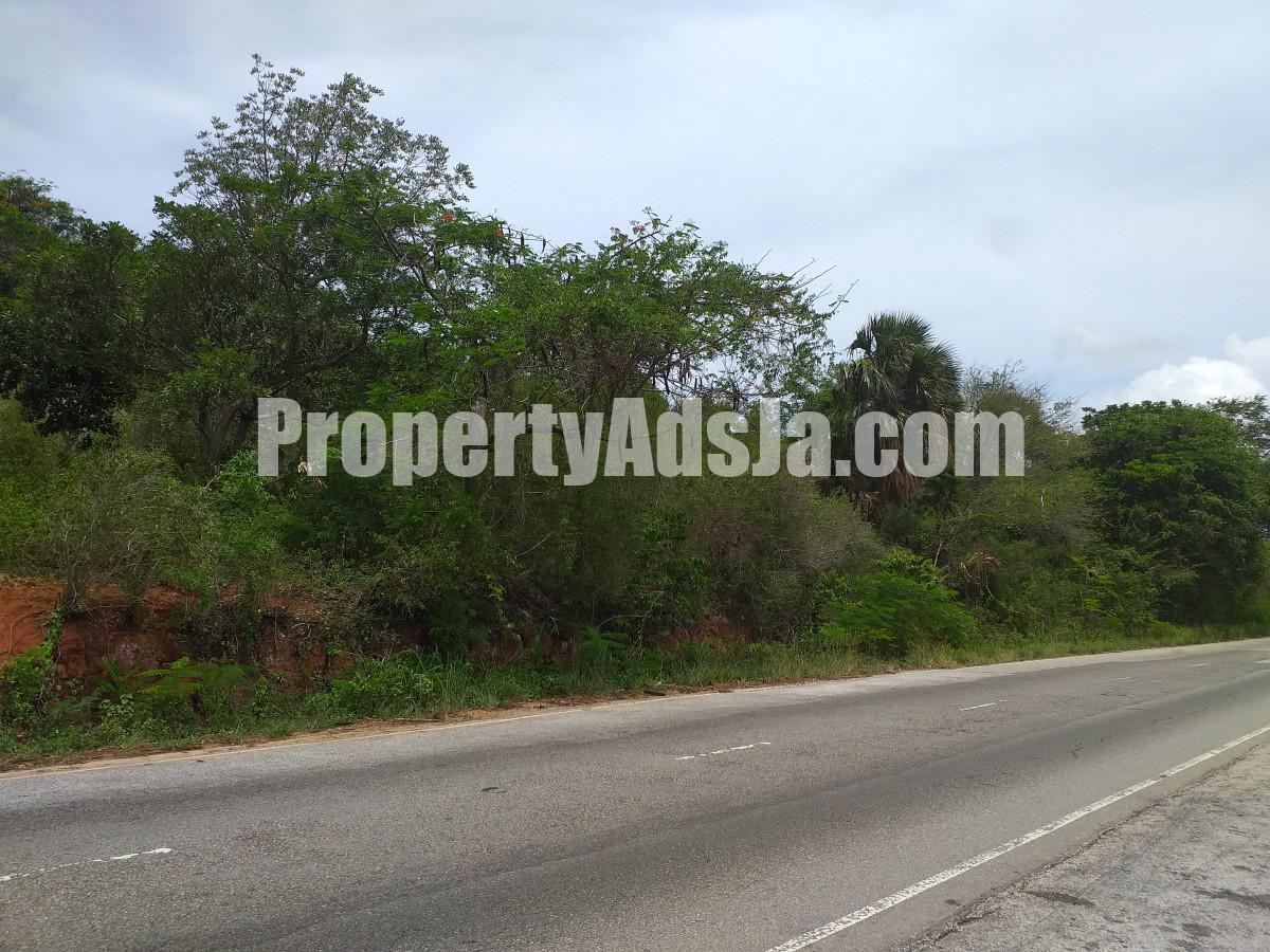Commercial land For Sale in Spur Tree, Manchester Jamaica