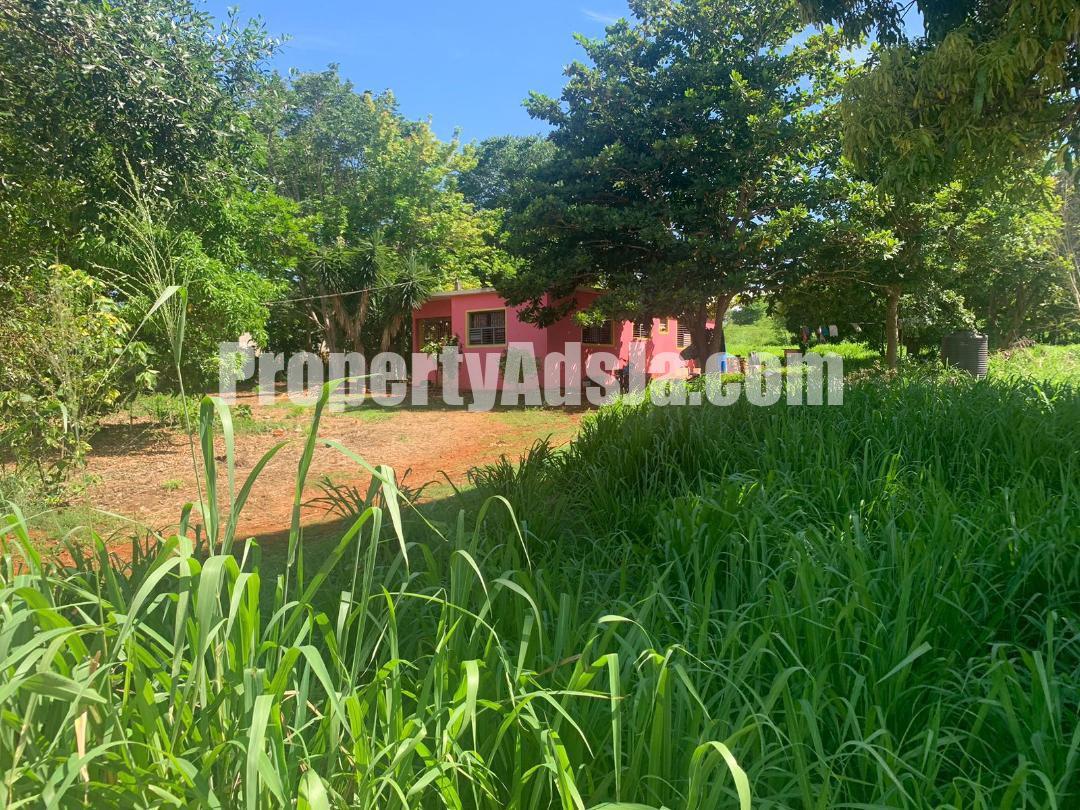 House For Sale in Treasure Beach, St. Elizabeth Jamaica