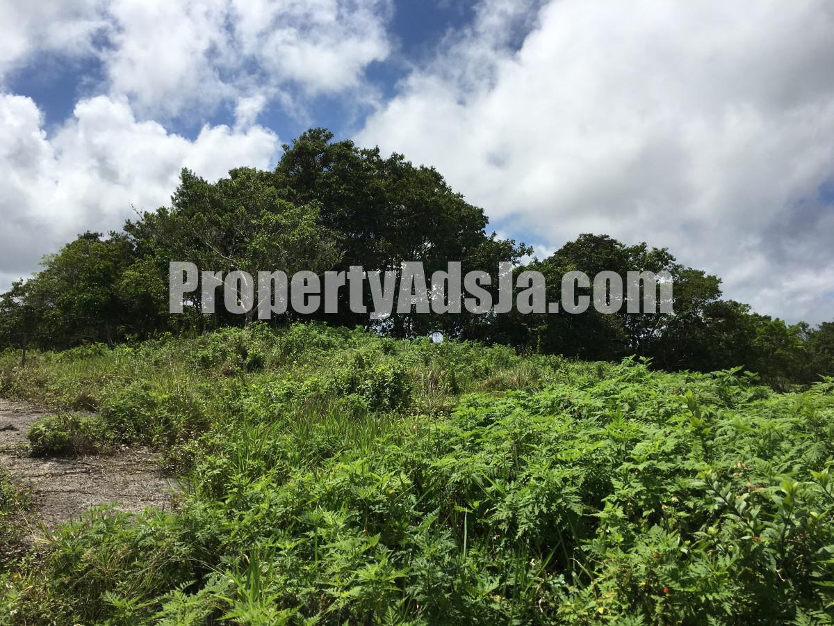 Residential lot For Sale in Chippenham Park Bamboo, St. Ann Jamaica