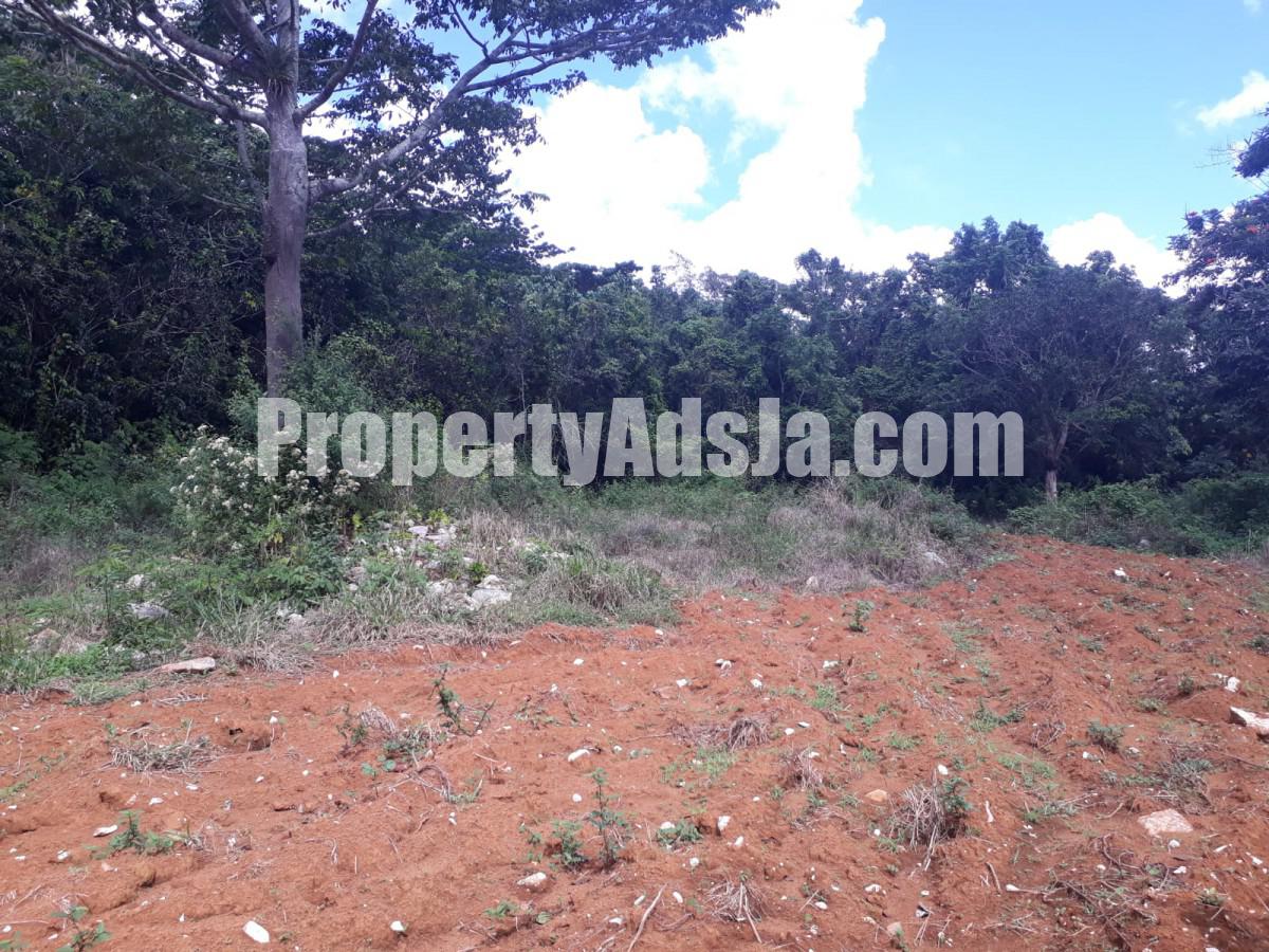 Land For Sale in Christiana, Manchester Jamaica