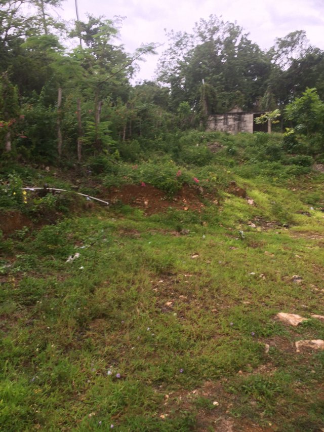 Residential lot For Sale in Balaclava, St. Elizabeth Jamaica