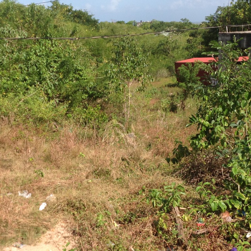 Residential lot For Sale in Whitehall, Westmoreland Jamaica