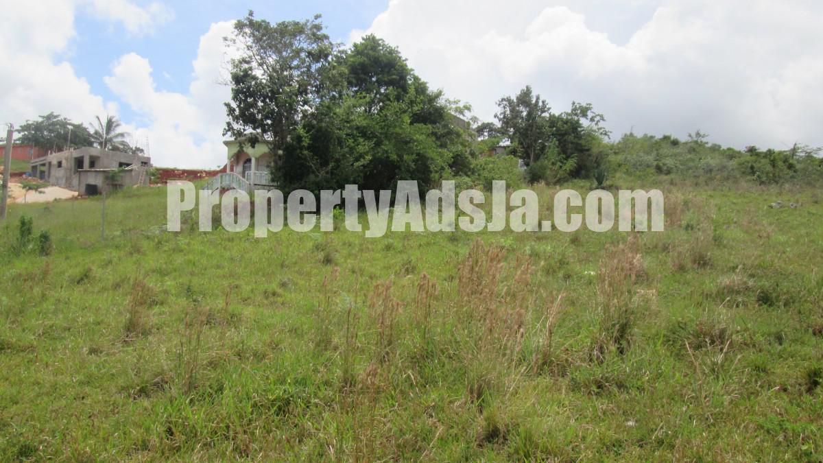 Residential lot For Sale in Knockpatrick New Wales, Manchester Jamaica