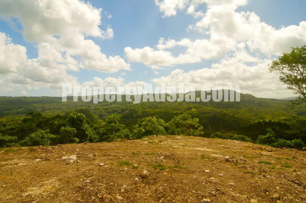 House For Sale in GAYLE, St. Mary Jamaica