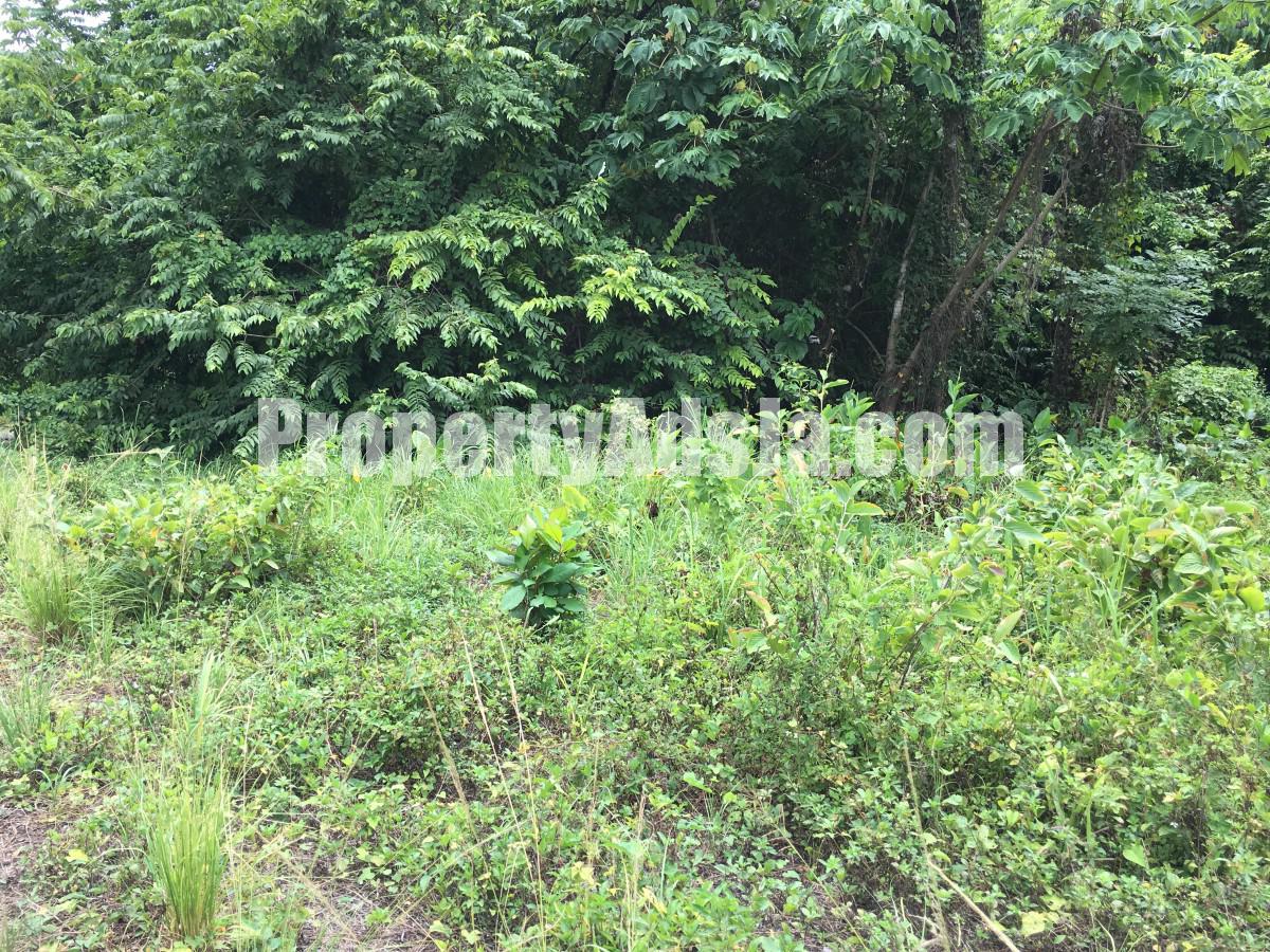 Residential lot For Sale in Fairy Hill, Portland Jamaica