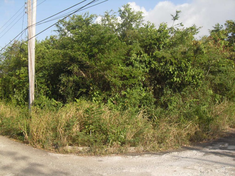 Residential lot For Sale in Rio Nuevo Resort, St. Mary Jamaica