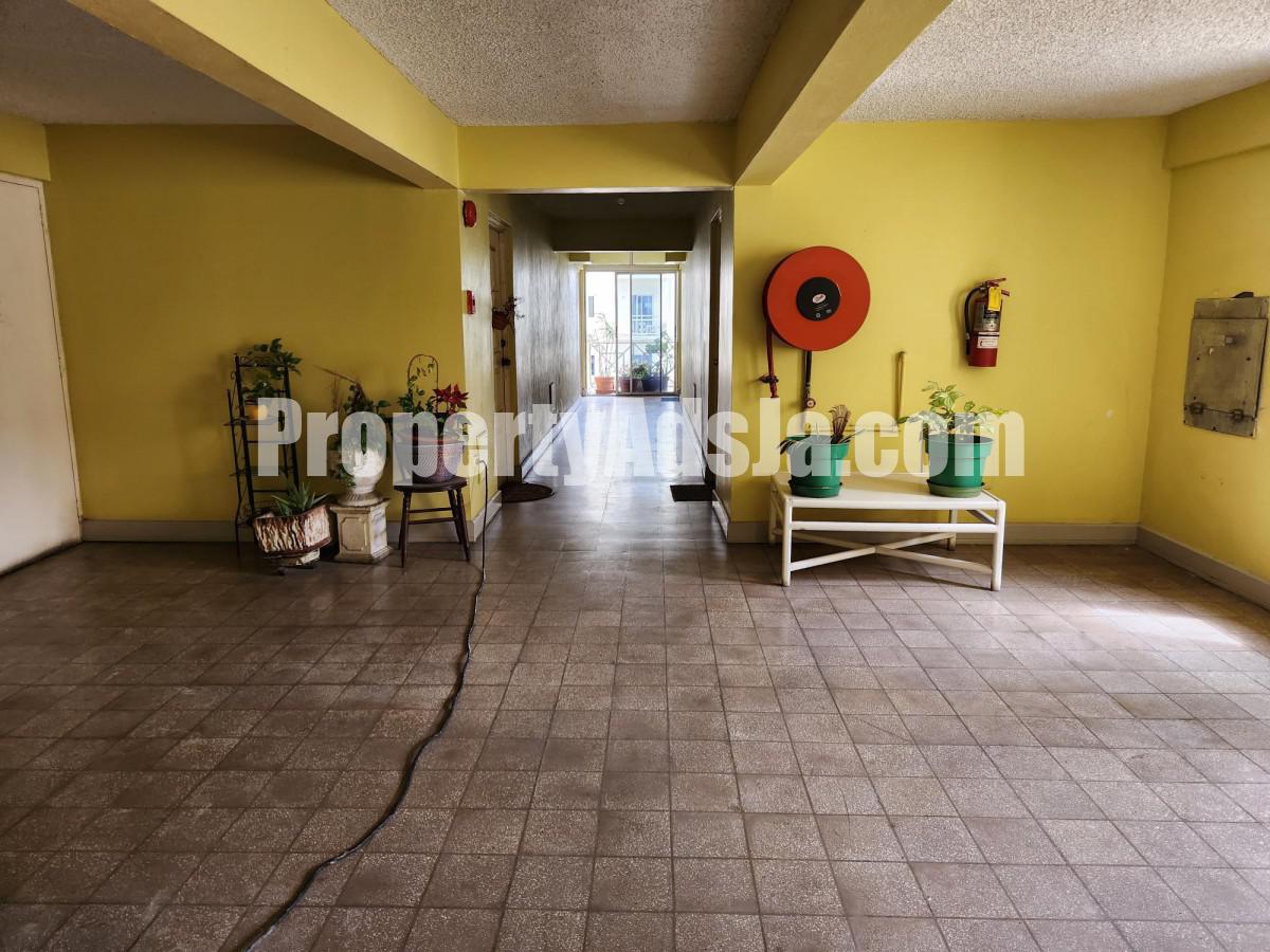 Apartment For Rent in New Kingston, Kingston / St. Andrew Jamaica