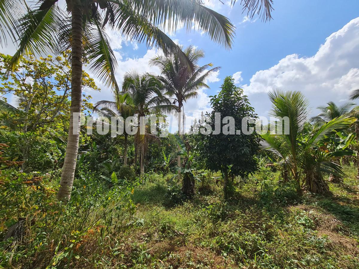 Commercial/farm land For Sale in Bog Walk, St. Catherine Jamaica