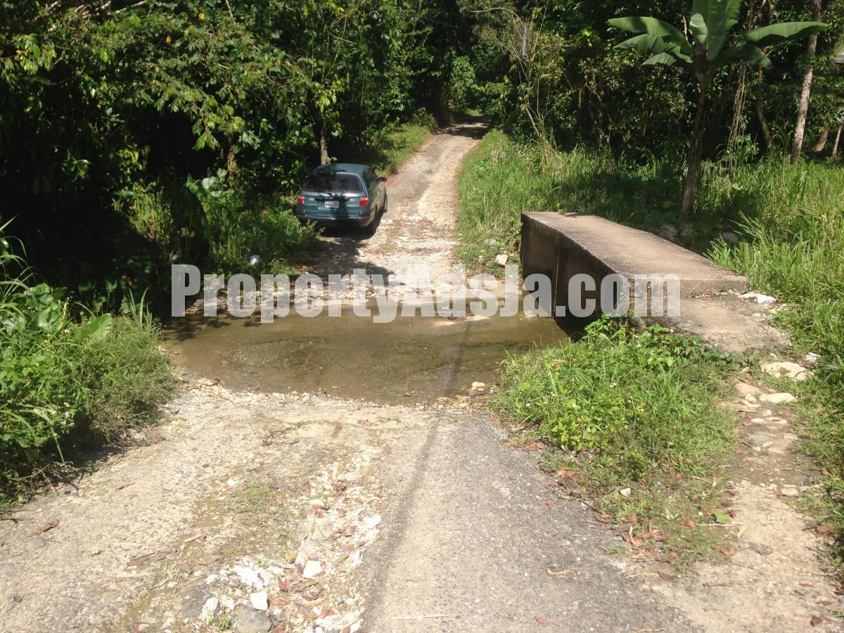 Commercial/farm land For Sale in Port Antonio, Portland Jamaica