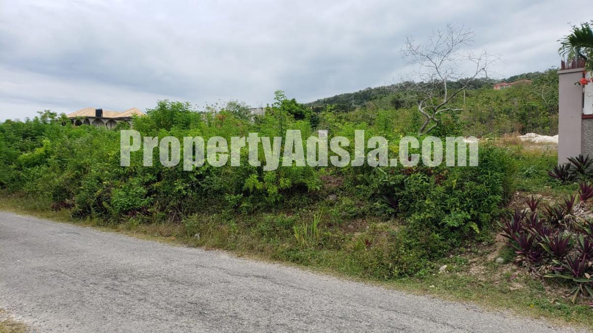 Residential lot For Sale in Boscobel, St. Mary Jamaica