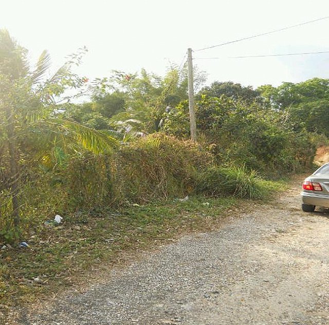 Commercial/farm land For Sale in Mount Matthews near Lawrence Tavern