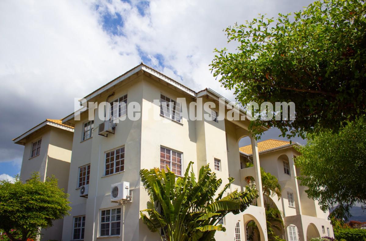 Apartment For Rent in Kgn 6, Kingston / St. Andrew Jamaica