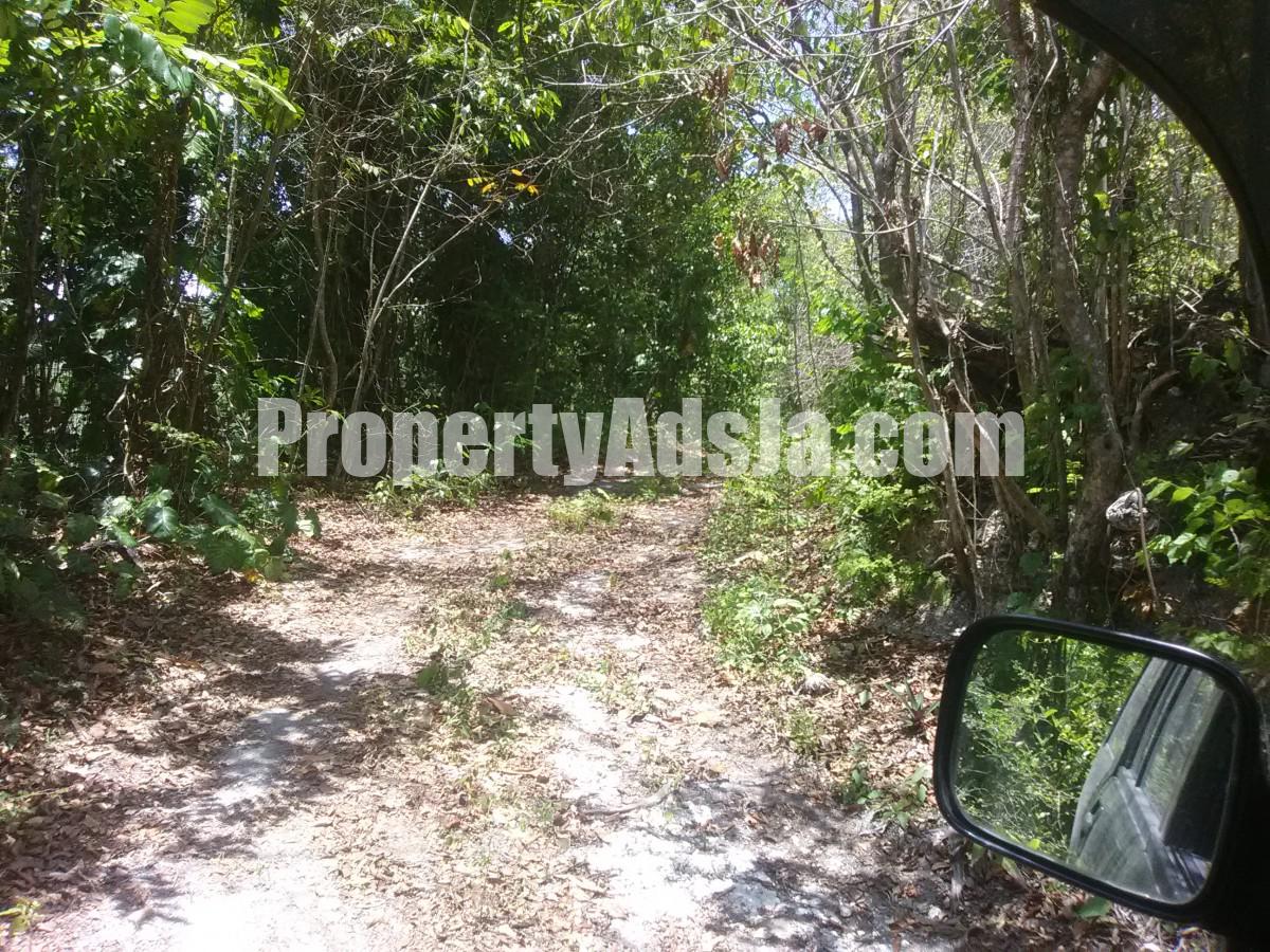 Commercial/farm land For Sale in KILDARE DIAMOND RIDGE, Portland