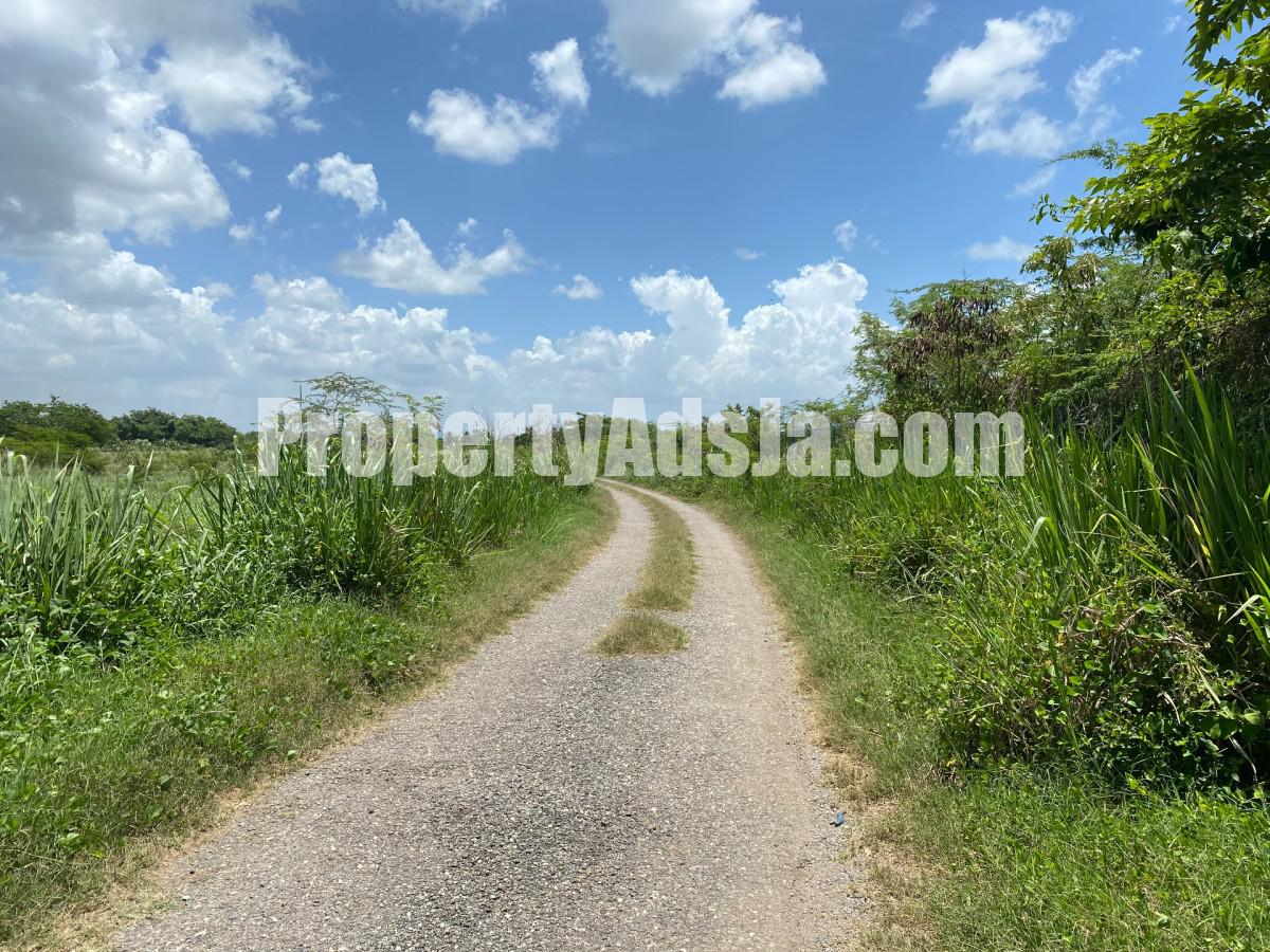 Residential lot For Sale in Bushy Park, St. Catherine Jamaica