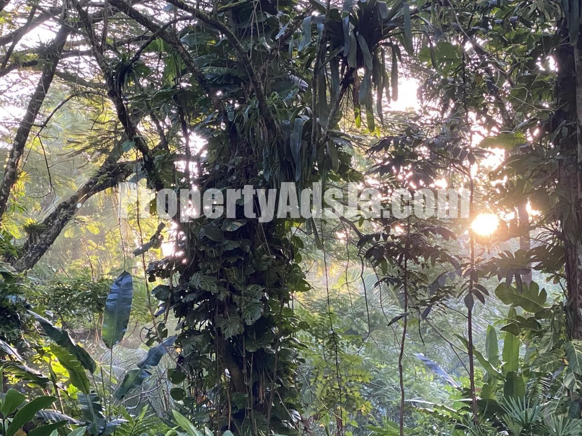 House For Sale in Nonsuch, Portland Jamaica