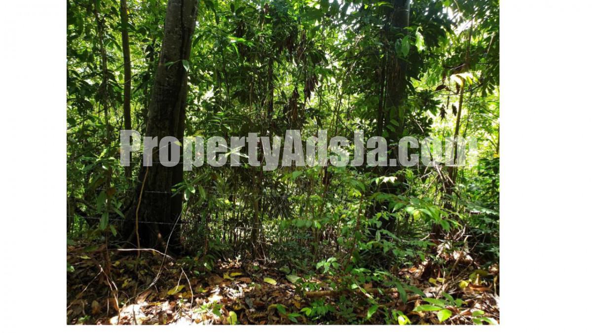 Residential lot For Sale in Kildare Buff Bay, Portland Jamaica