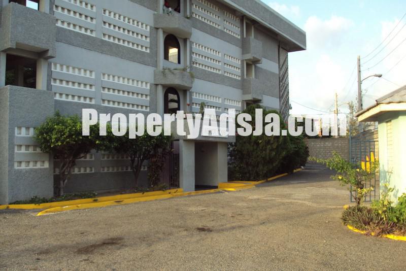 Apartments For Rent Kingston Jamaica at Michael Fry blog