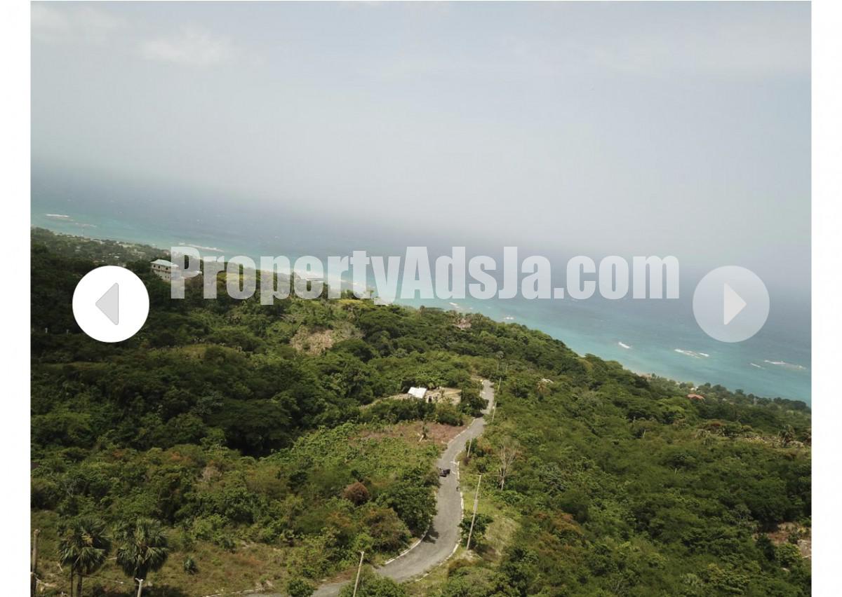 Land For Sale in Whitehouse, Westmoreland Jamaica