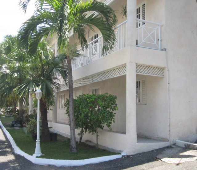 Apartment For Rent in Kingston 6, Kingston / St. Andrew Jamaica
