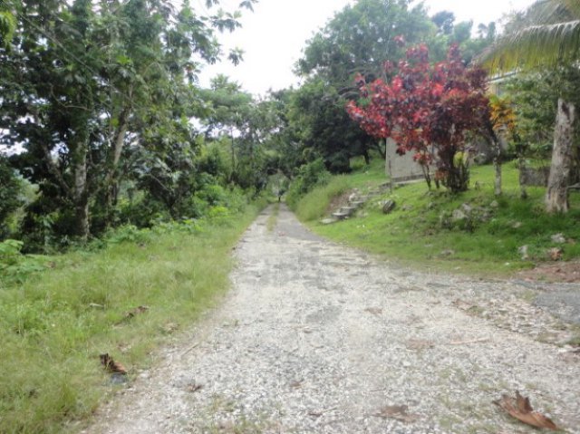 Residential lot For Sale in Highgates Darliston, Westmoreland Jamaica