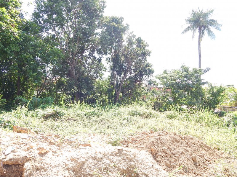 Residential lot For Sale in Jacks Hill, Kingston / St. Andrew, Jamaica