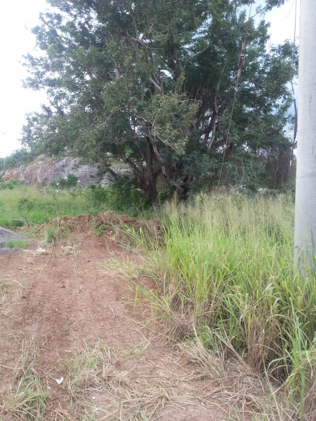 Residential lot For Sale in Coral Springs, Trelawny Jamaica