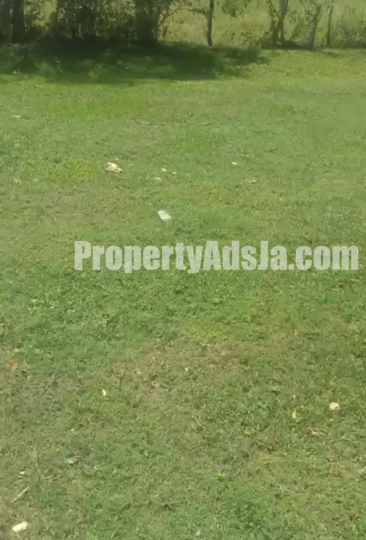 Land For Sale in Santa Cruz, St. Elizabeth Jamaica