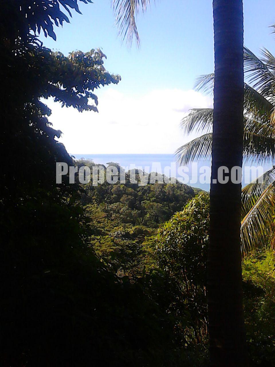 Residential lot For Sale in Dover, St. Mary Jamaica