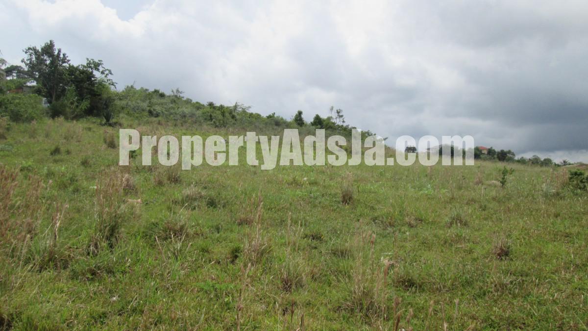 Residential lot For Sale in Knockpatrick New Wales, Manchester Jamaica