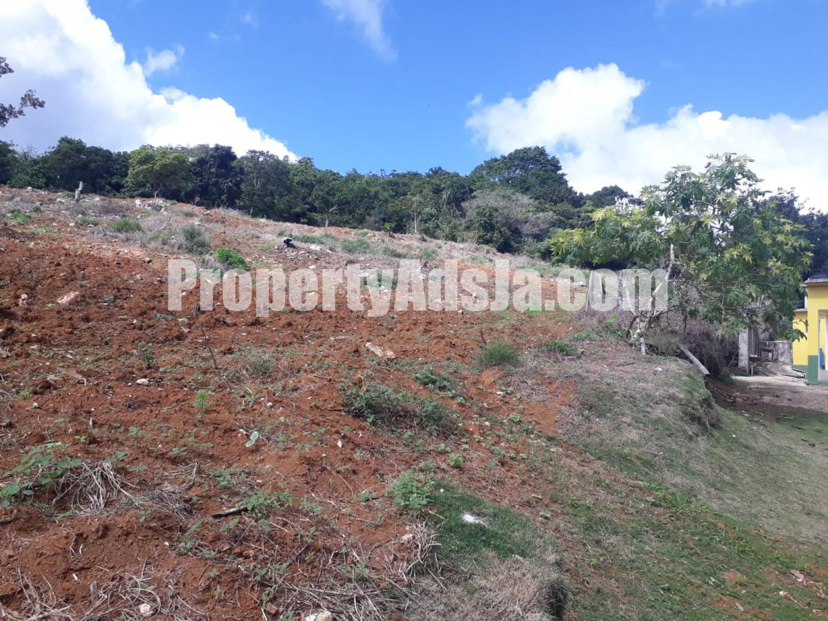 Land For Sale in Christiana, Manchester Jamaica