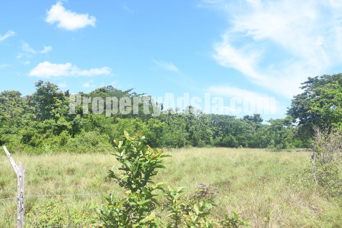 Commercial/farm land For Rent in Black River, St. Elizabeth Jamaica