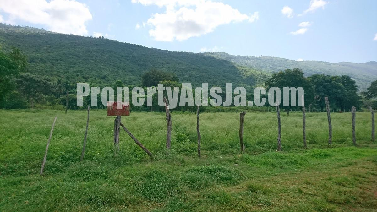 Residential lot For Sale in Orange Grove, St. Elizabeth Jamaica