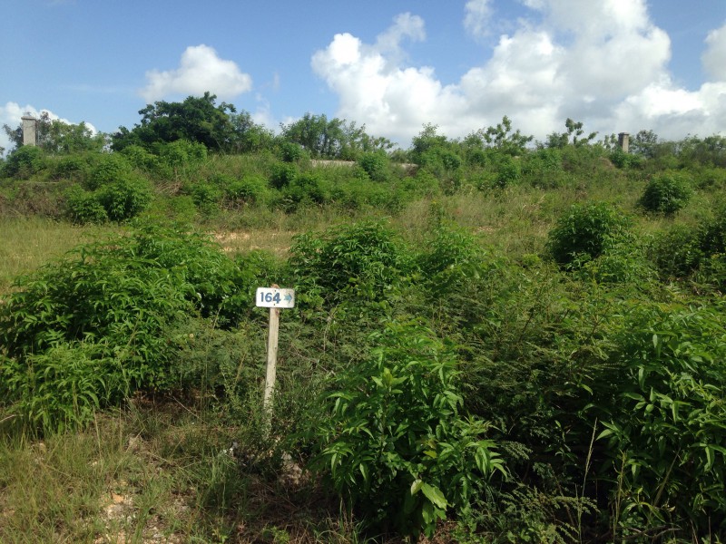 Residential lot For Sale in Twin Palms Estate, Clarendon Jamaica