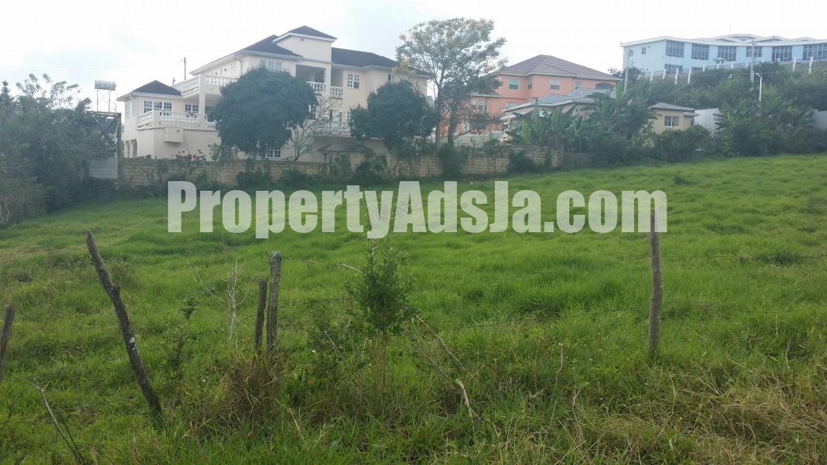 Residential lot For Sale in Mandeville, Manchester Jamaica