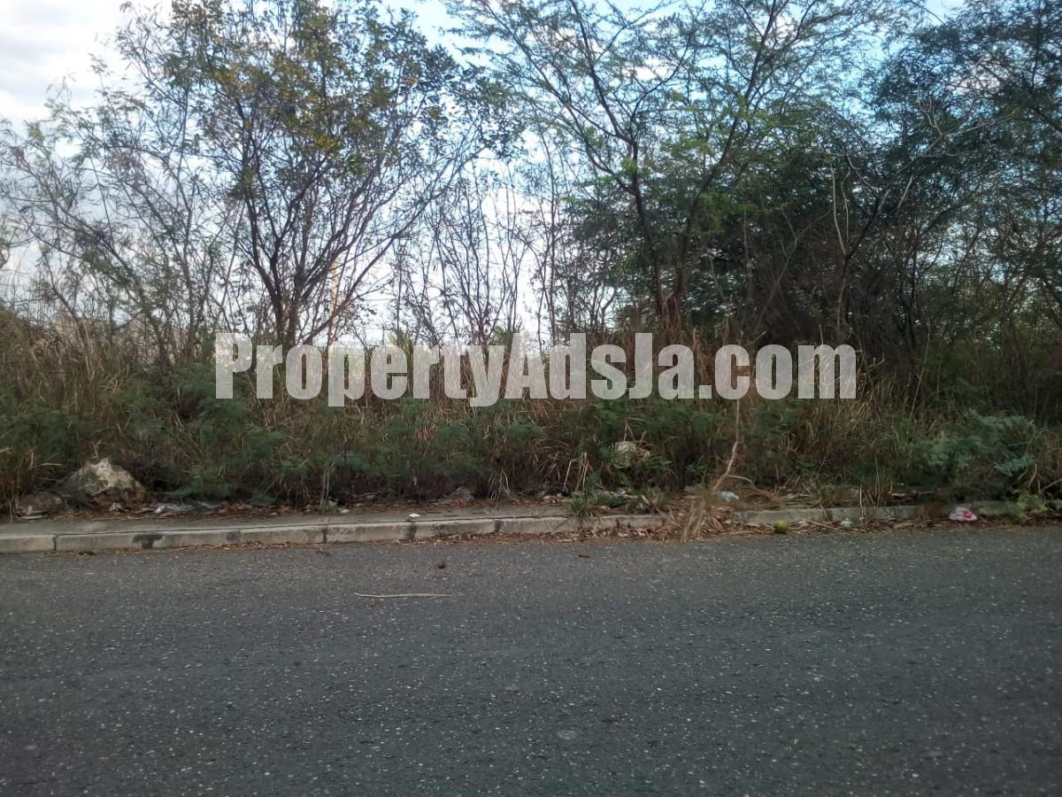 Residential lot For Sale in LONGVILLE PARK, Clarendon Jamaica
