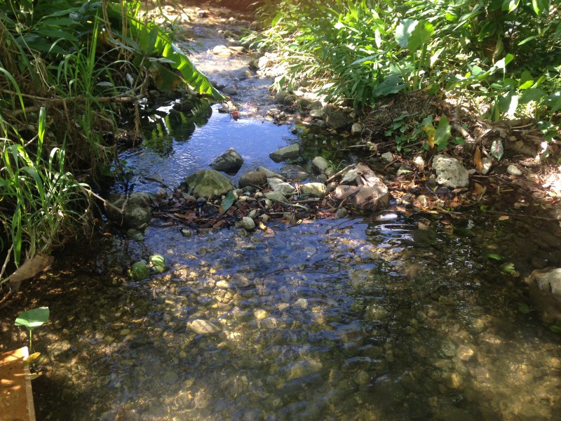 Commercial/farm land For Sale in Portland, Portland Jamaica