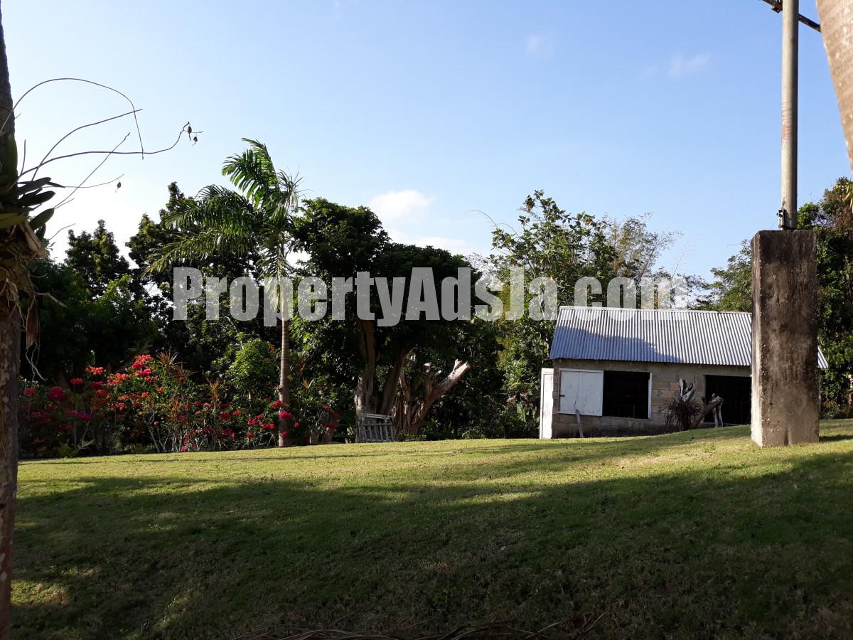 For Sale in Green Island, Hanover Jamaica