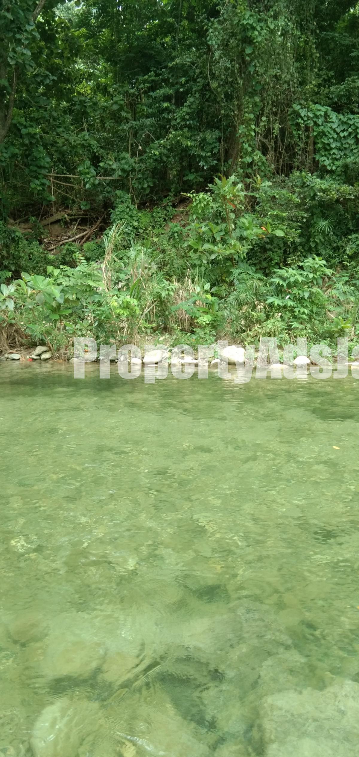 Resort/vacation property For Rent in Rio Nuevo Content Ochi Rios