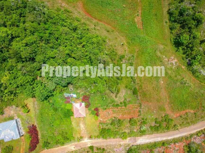 Land For Sale in 29 Knockpatrick And Invernes, Manchester Jamaica
