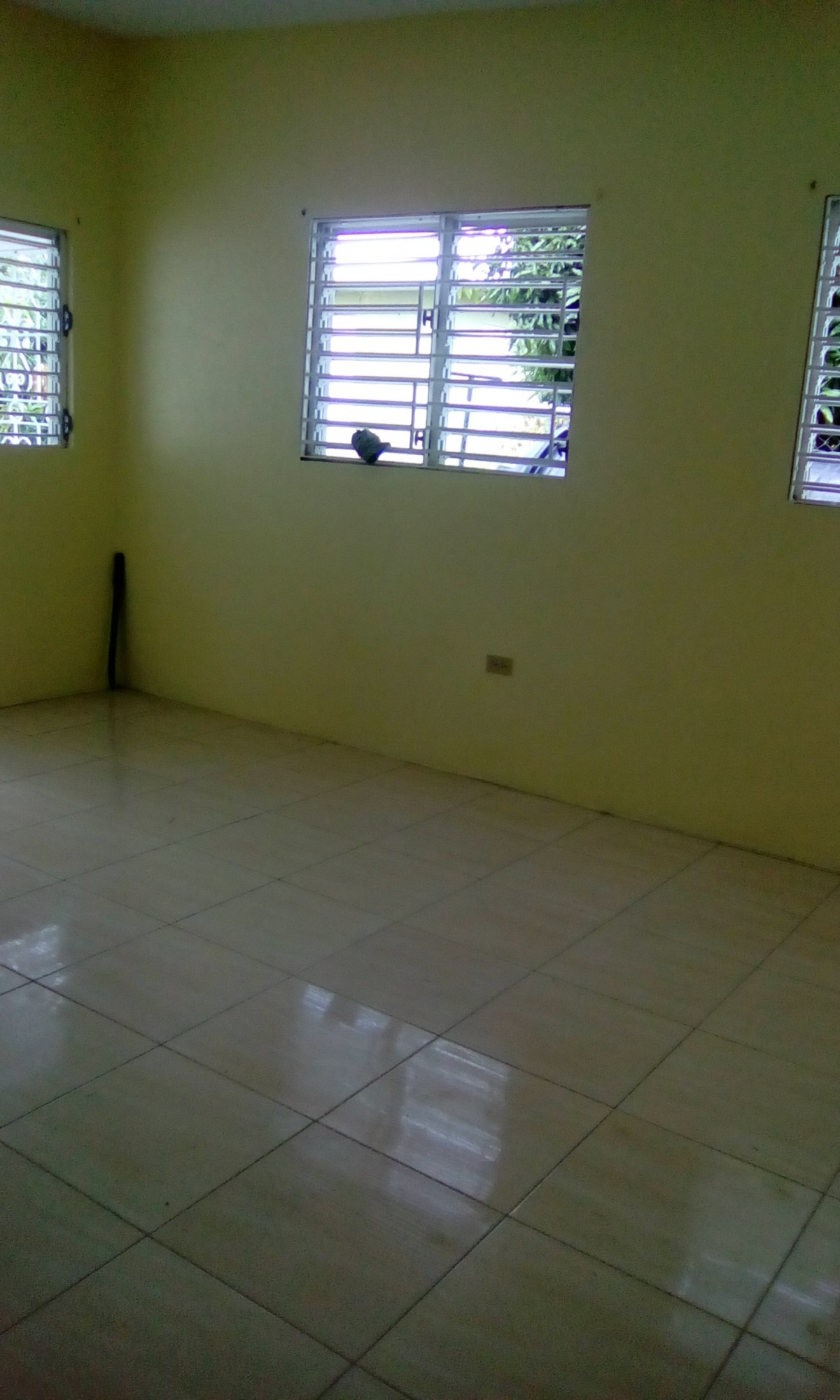 House For Rent in Mona Kingston 6, Kingston / St. Andrew Jamaica
