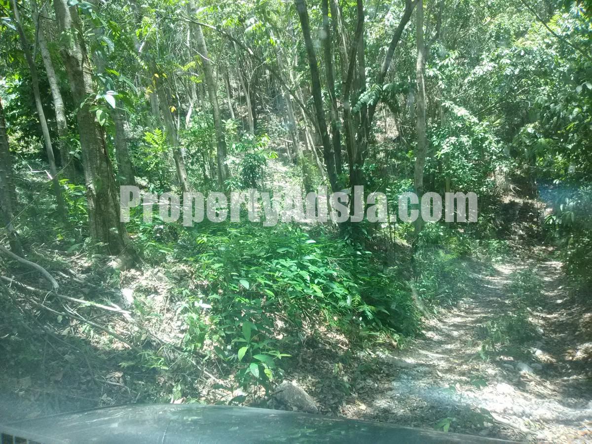 Commercial/farm land For Sale in KILDARE DIAMOND RIDGE, Portland