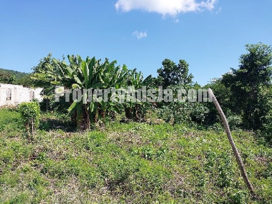 Residential lot For Sale in Phamphery, St. Thomas Jamaica