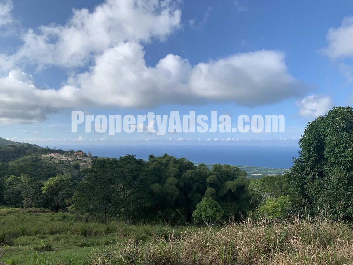 Residential lot For Sale in Bamboo, St. Ann Jamaica