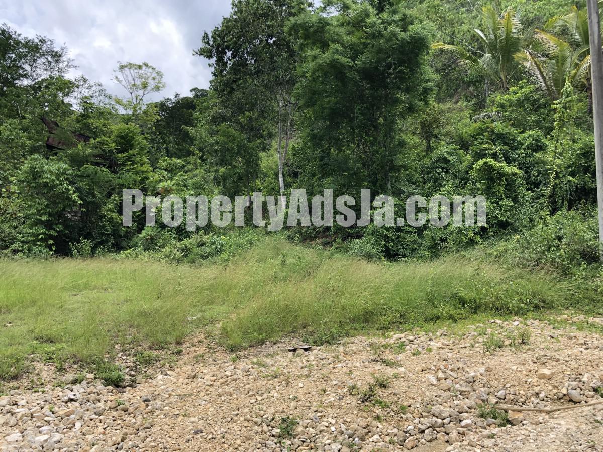 Commercial/farm land For Sale in Dover Castle Redwood St Catherine, St. Catherine Jamaica