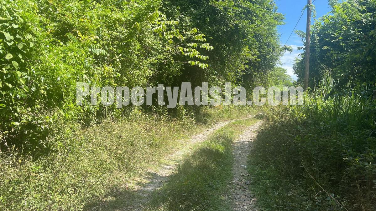Land For Sale in Port Antonio, Portland Jamaica